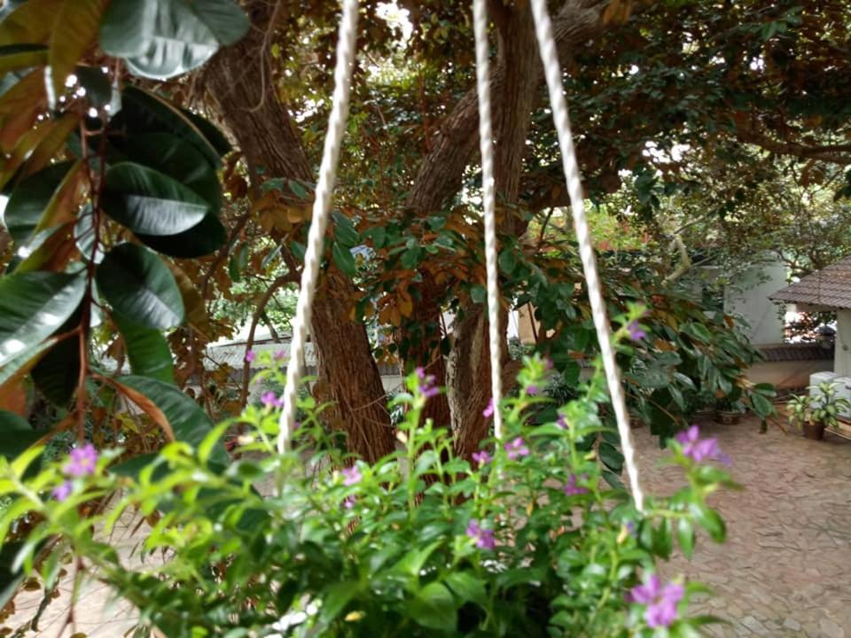 וונג טאו Lam Son Hotel & Apartments מראה חיצוני תמונה