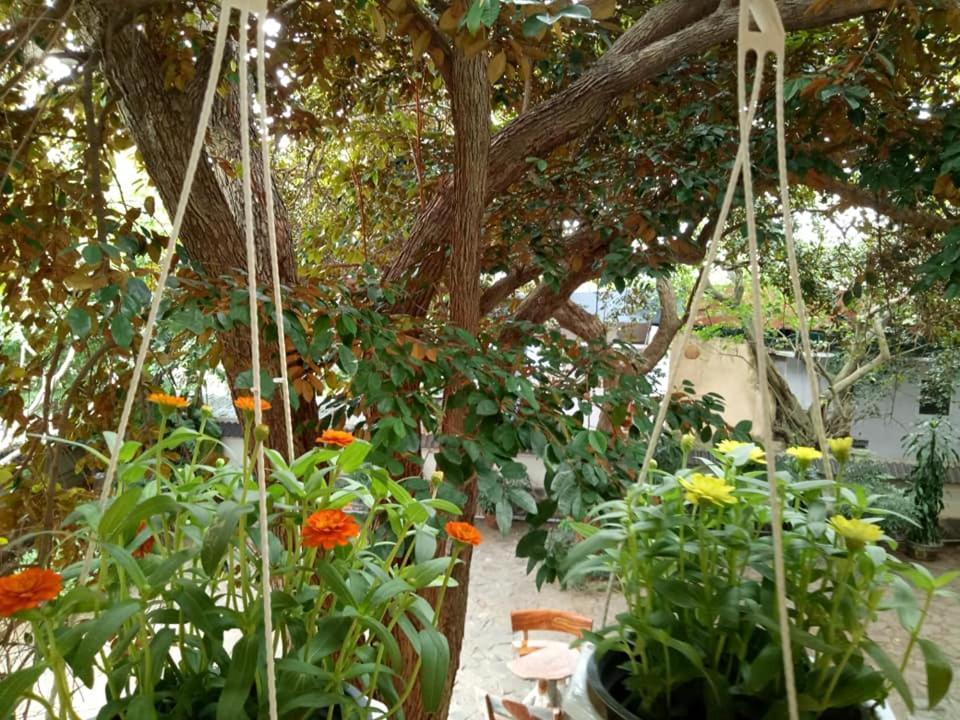 וונג טאו Lam Son Hotel & Apartments מראה חיצוני תמונה