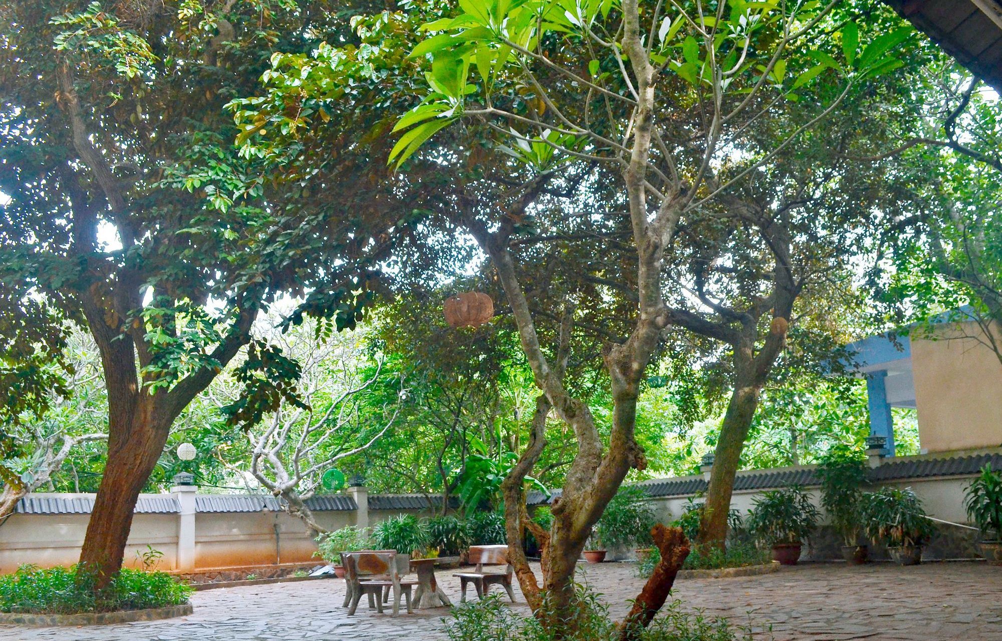 וונג טאו Lam Son Hotel & Apartments מראה חיצוני תמונה